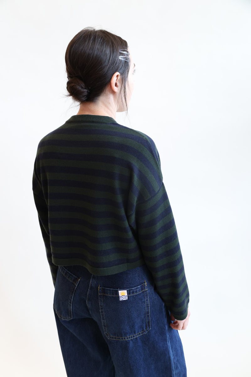 Merino Wool Striped Cardigan Green and Navy